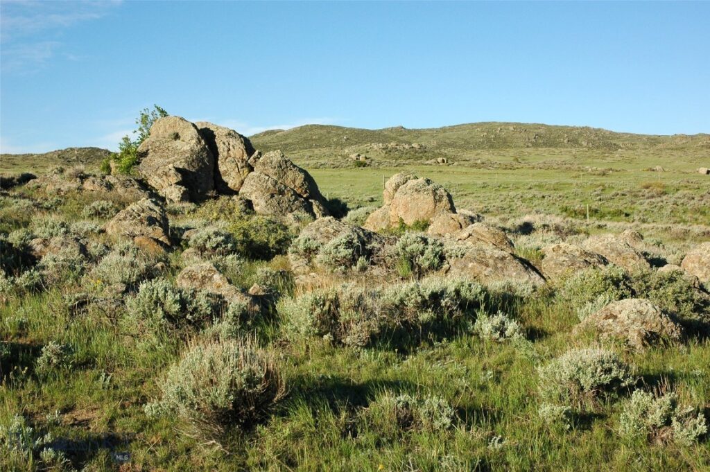 tbd Buffalo Commons, Wheatland, Wyoming, Other MT 82201