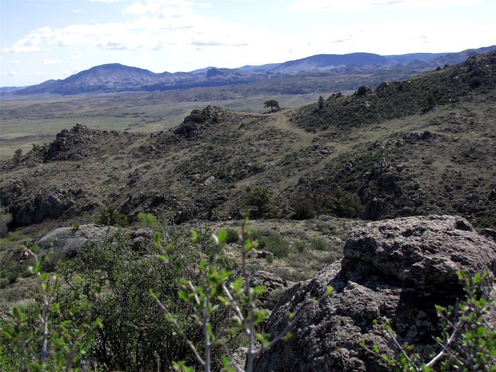 tbd Buffalo Commons, Wheatland, Wyoming, Other MT 82201