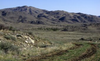 tbd Buffalo Commons, Wheatland, Wyoming, Other MT 82201