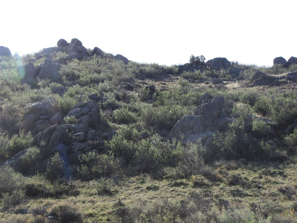 tbd Buffalo Commons, Wheatland, Wyoming, Other MT 82201
