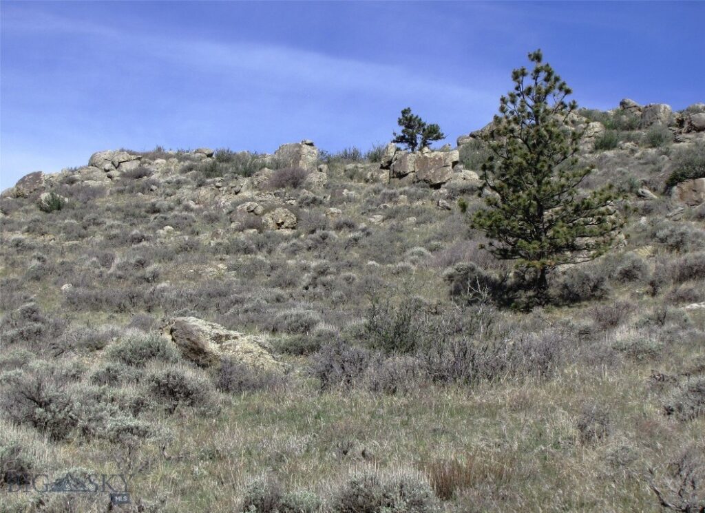 tbd Buffalo Commons, Wheatland, Wyoming, Other MT 82201