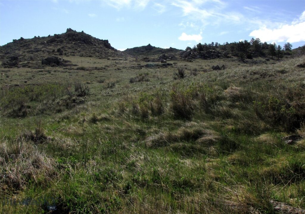 tbd Buffalo Commons, Wheatland, Wyoming, Other MT 82201