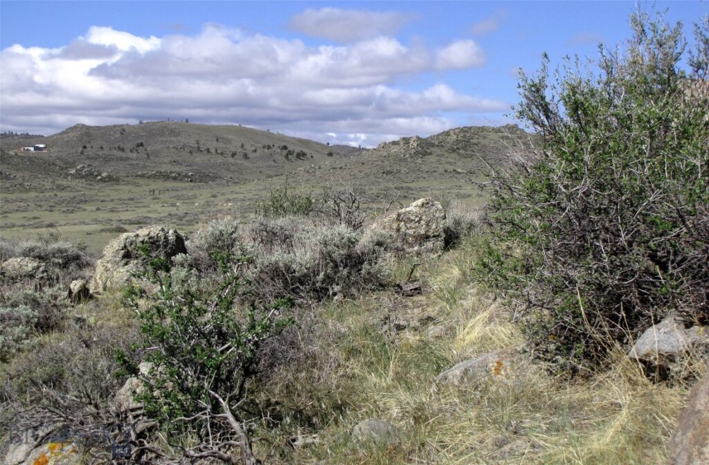 tbd Buffalo Commons, Wheatland, Wyoming, Other MT 82201