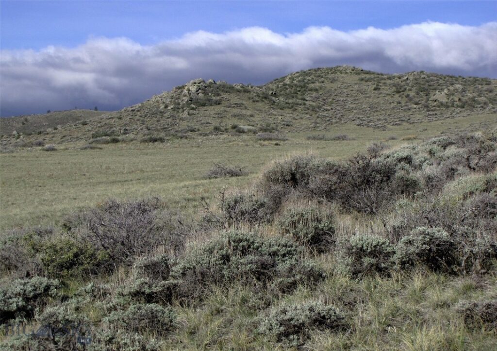 tbd Buffalo Commons, Wheatland, Wyoming, Other MT 82201