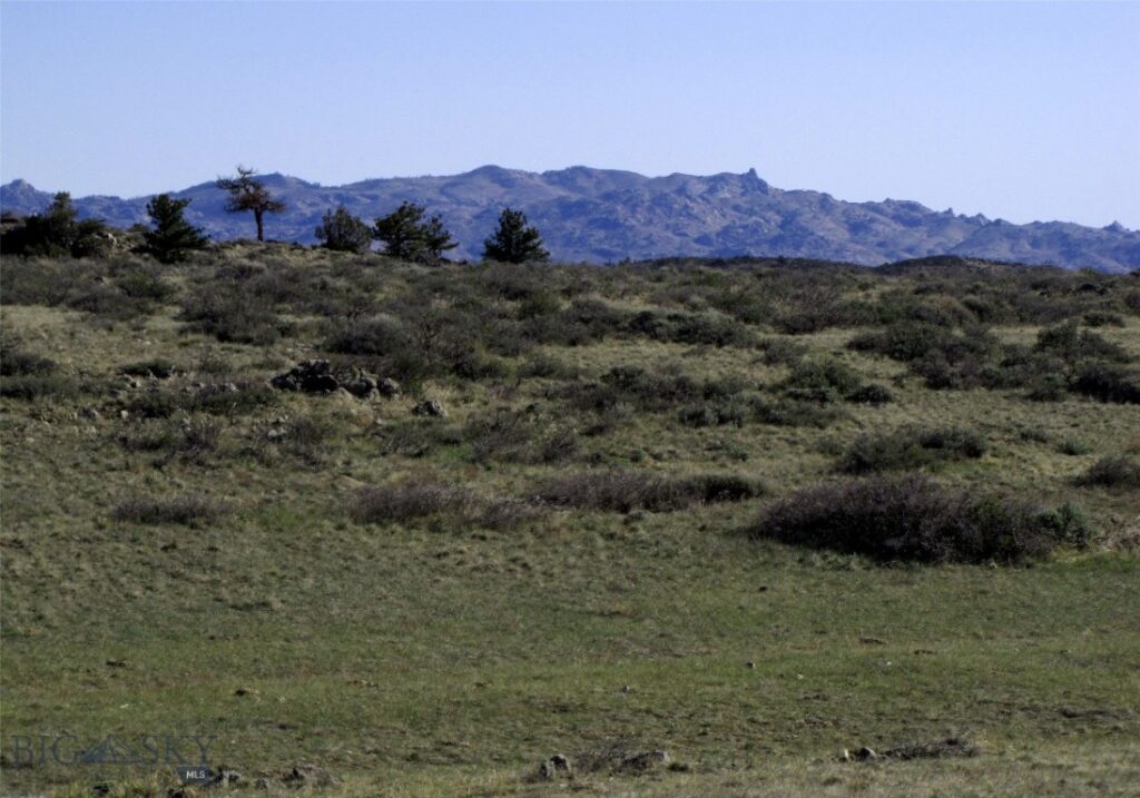 tbd Buffalo Commons, Wheatland, Wyoming, Other MT 82201