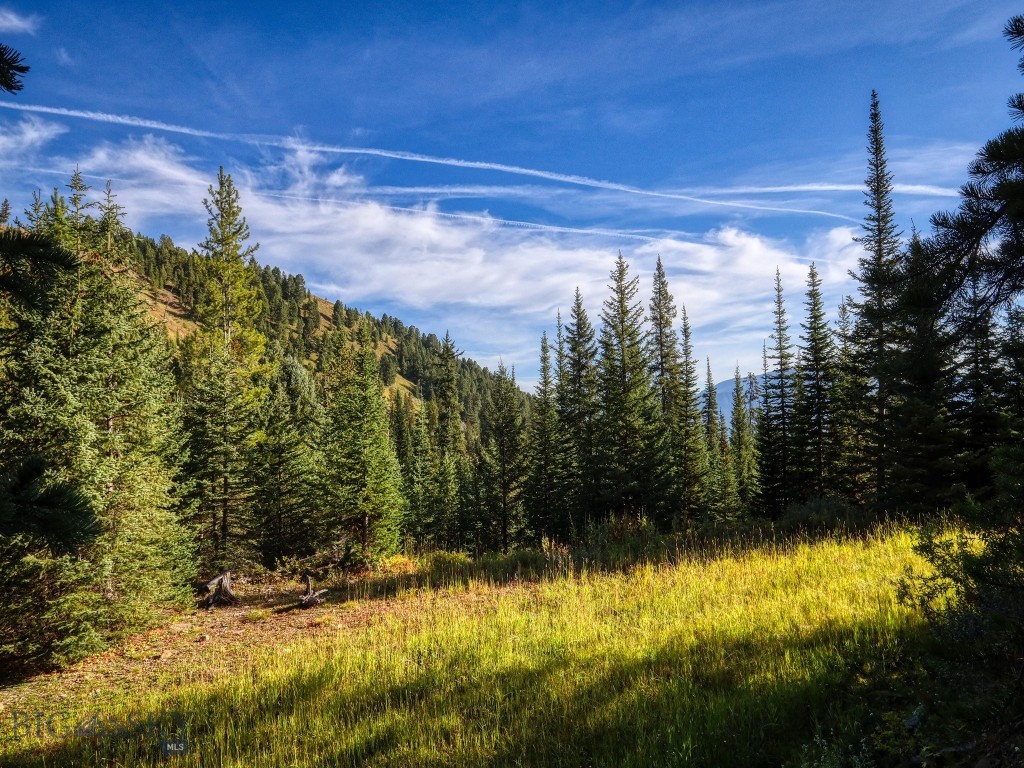 TBD Upper Beaver Creek Road, Big Sky MT 59730