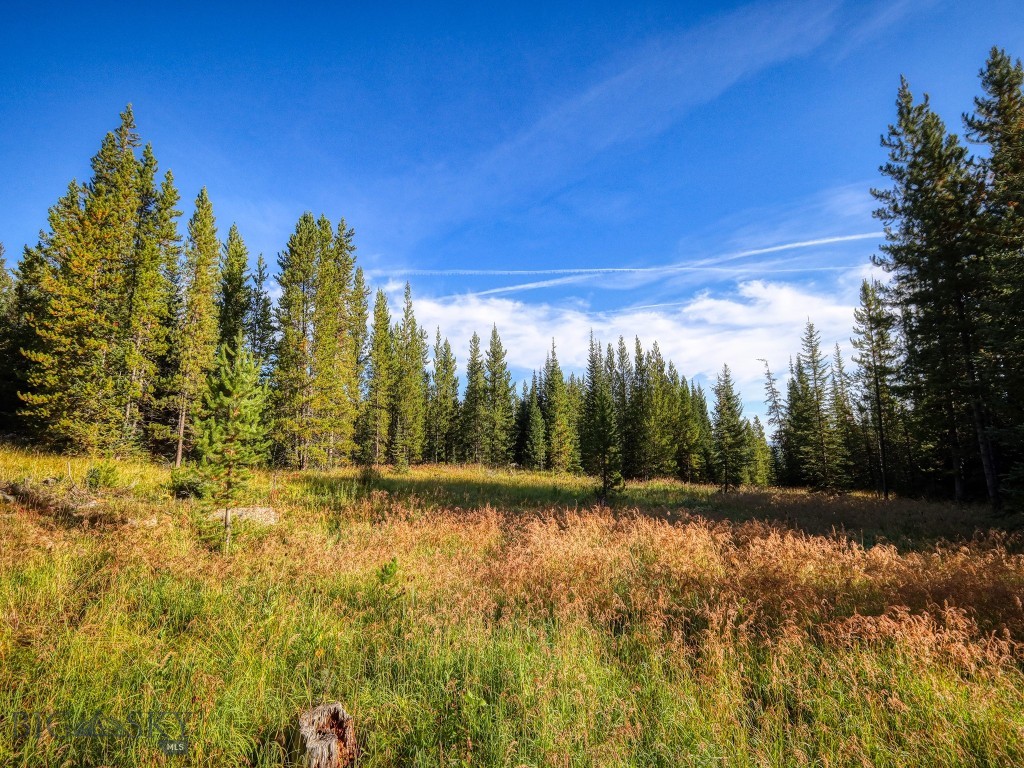 TBD Upper Beaver Creek Road, Big Sky MT 59730