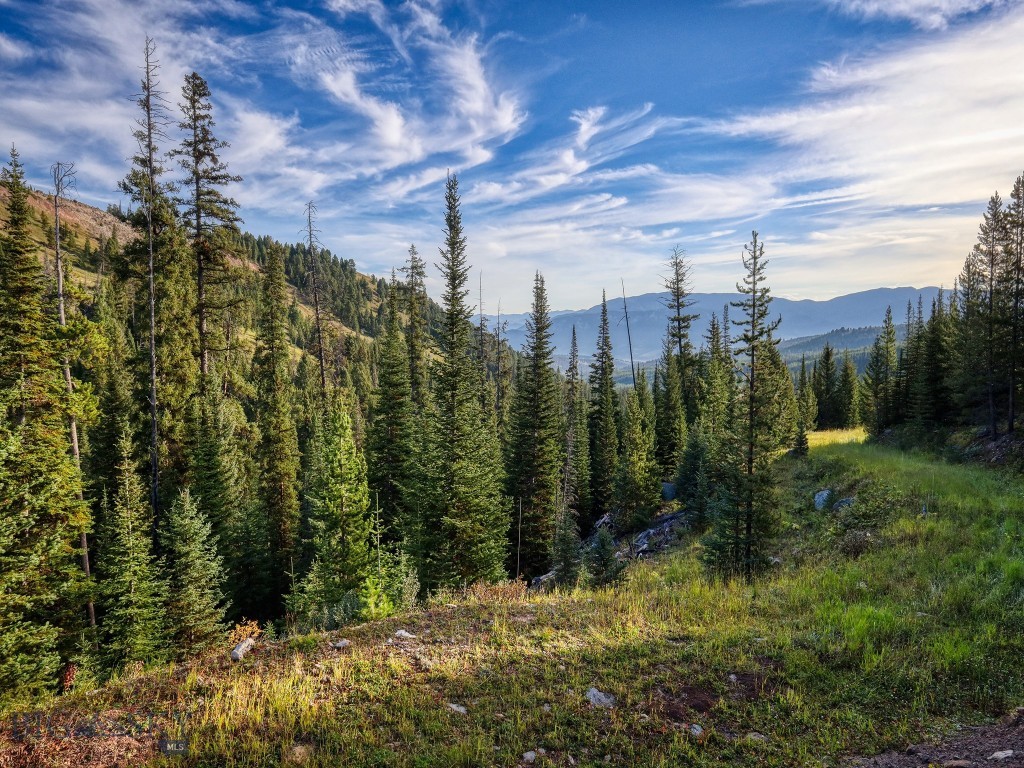 TBD Upper Beaver Creek Road, Big Sky MT 59730