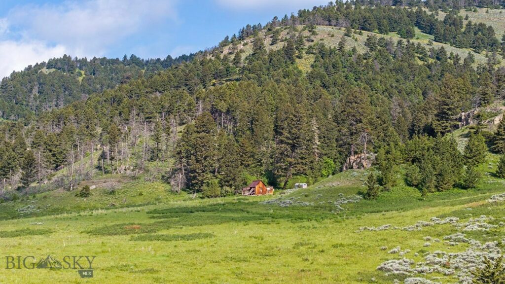 TBD Willow Creek N Fork Road, Livingston MT 59047