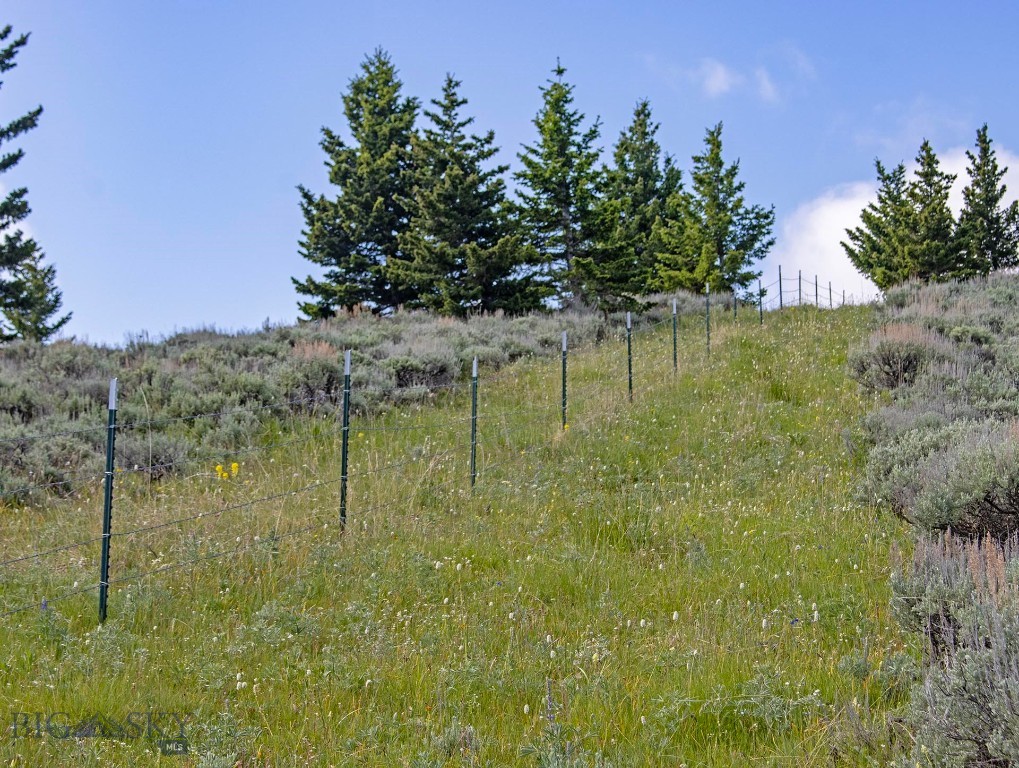 TBD Willow Creek N Fork Road, Livingston MT 59047