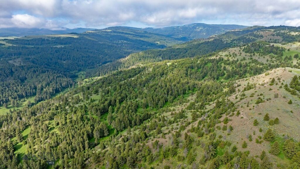 TBD Willow Creek N Fork Road, Livingston MT 59047