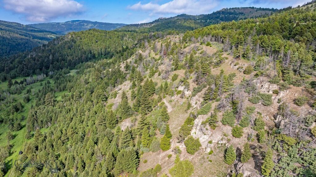 TBD Willow Creek N Fork Road, Livingston MT 59047