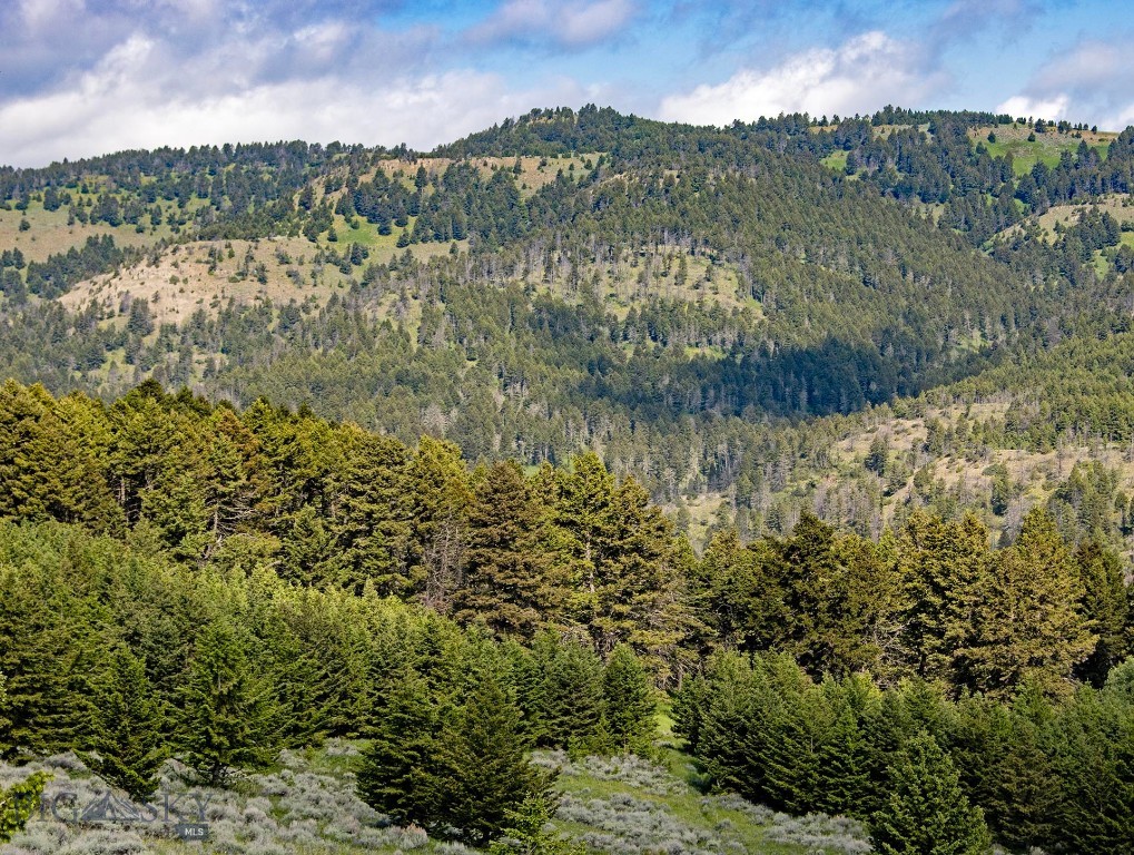 TBD Willow Creek N Fork Road, Livingston MT 59047