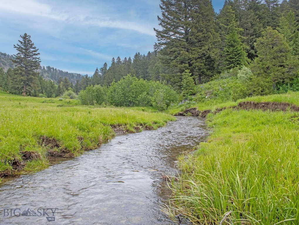 TBD Willow Creek N Fork Road, Livingston MT 59047