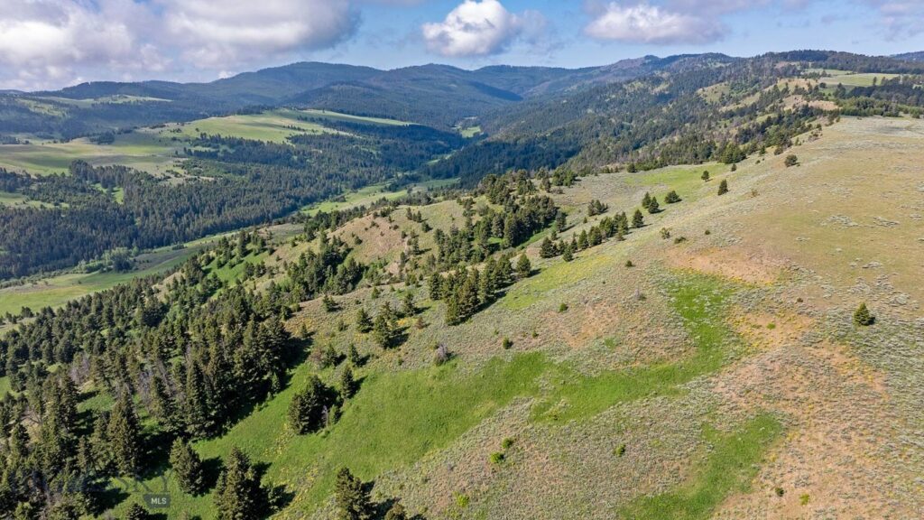 TBD Willow Creek N Fork Road, Livingston MT 59047