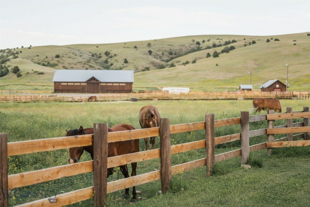 , Three Forks MT 59752