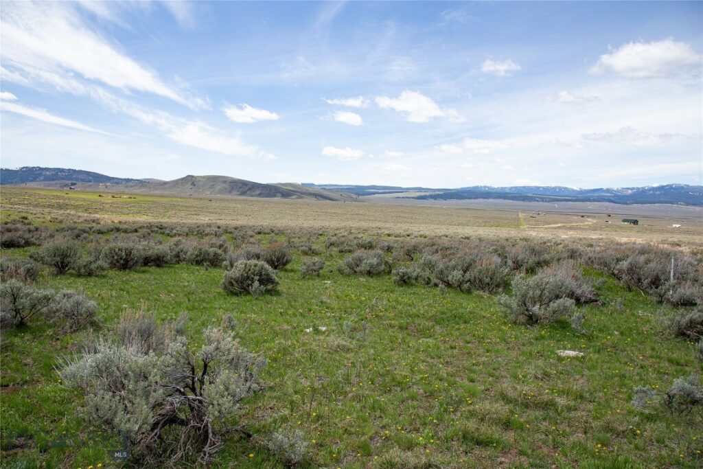 Tract 1 & 3A Continental Divide Ranch, Cameron MT 59720