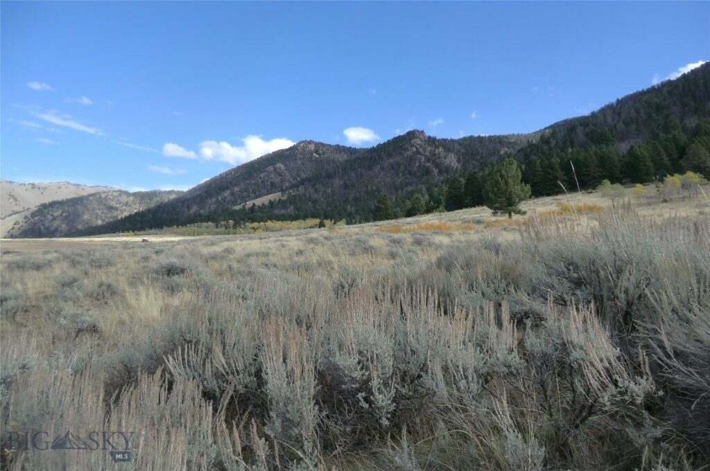 Tract 1 & 3A Continental Divide Ranch, Cameron MT 59720