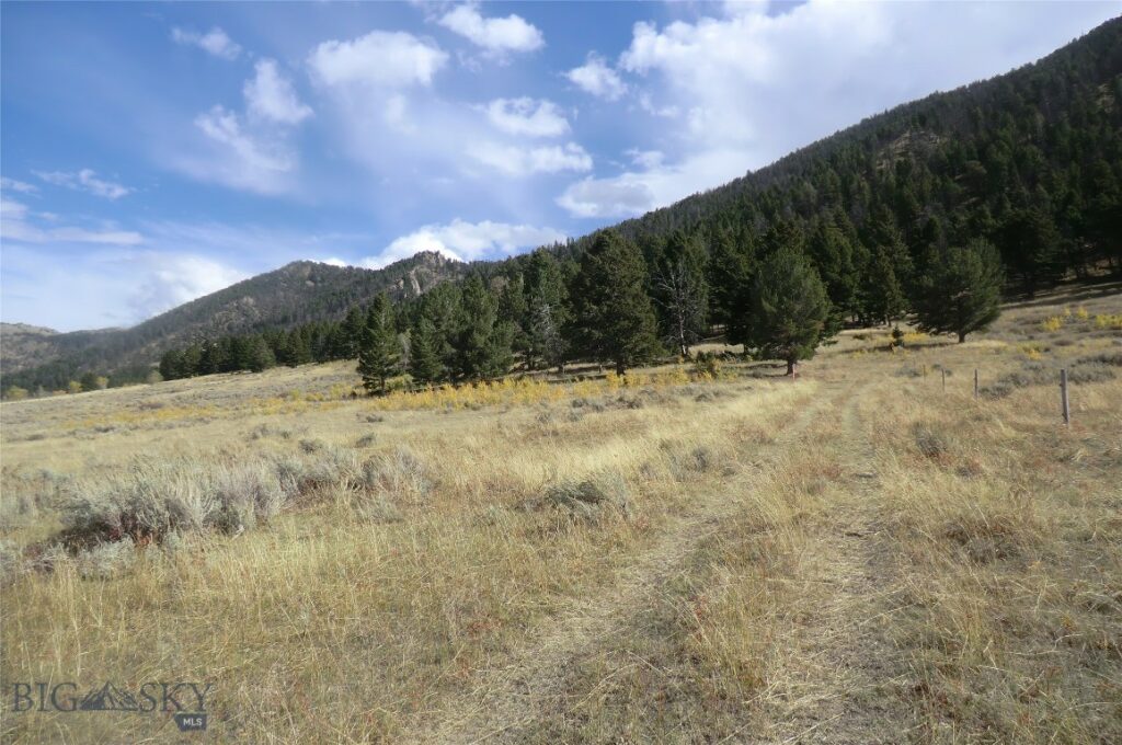 Tract 1 & 3A Continental Divide Ranch, Cameron MT 59720