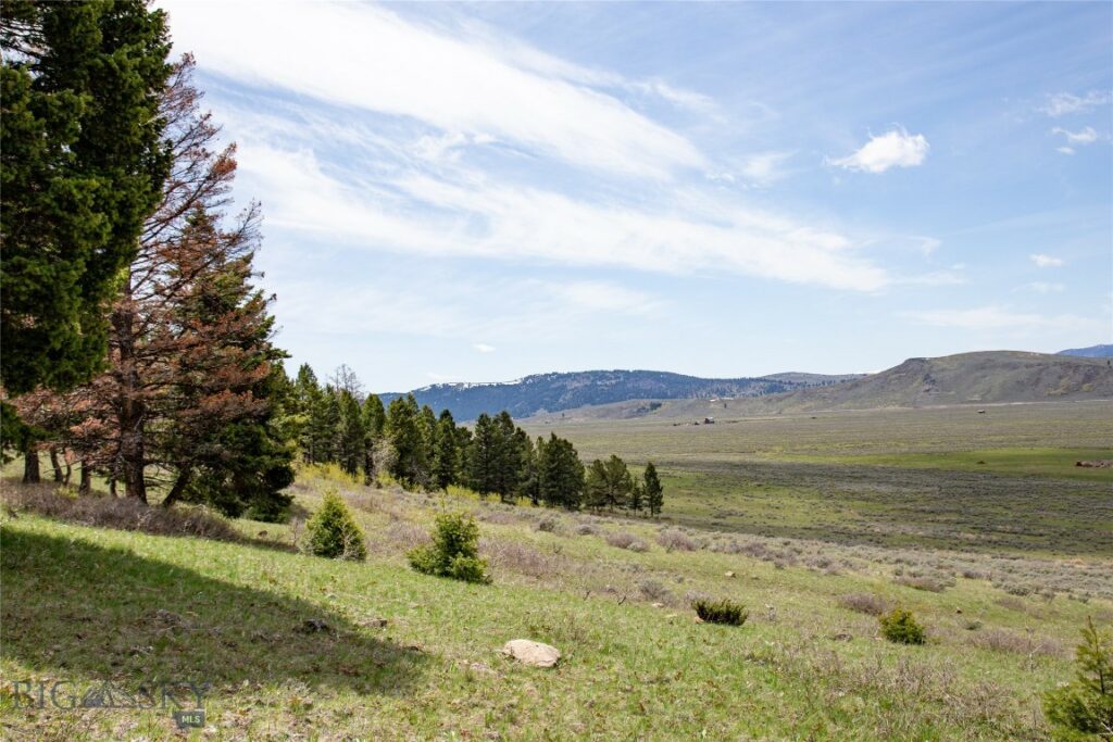 Tract 1 & 3A Continental Divide Ranch, Cameron MT 59720