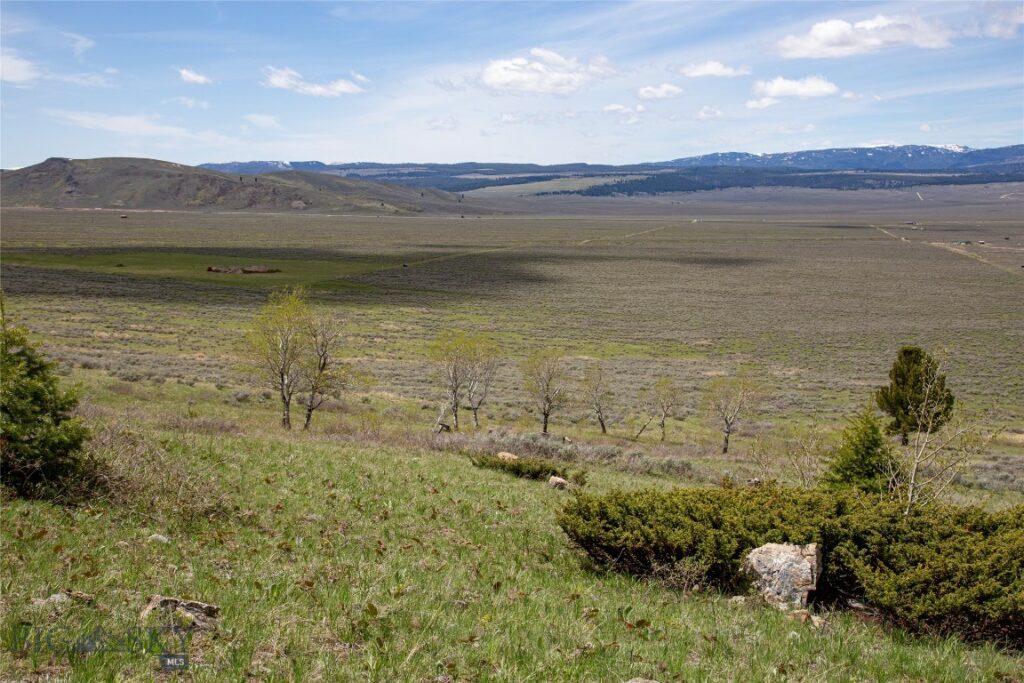 Tract 1 & 3A Continental Divide Ranch, Cameron MT 59720