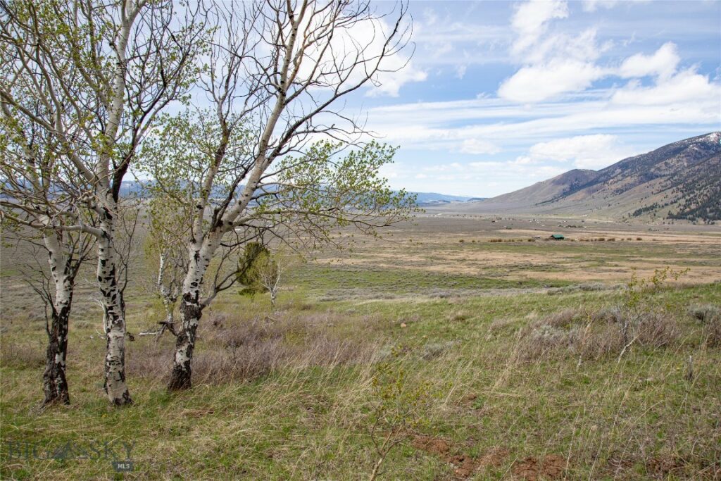 Tract 1 & 3A Continental Divide Ranch, Cameron MT 59720