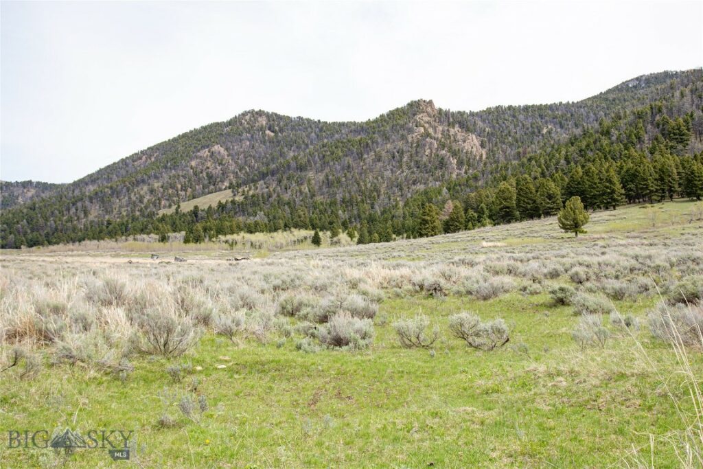 Tract 1 & 3A Continental Divide Ranch, Cameron MT 59720