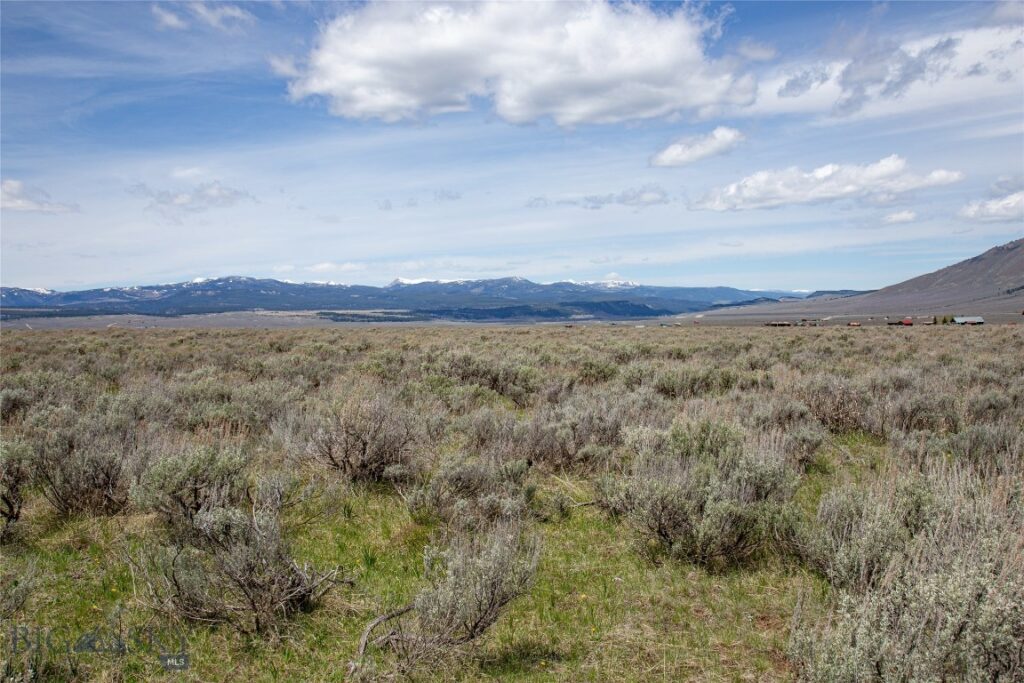 Tract 1 & 3A Continental Divide Ranch, Cameron MT 59720