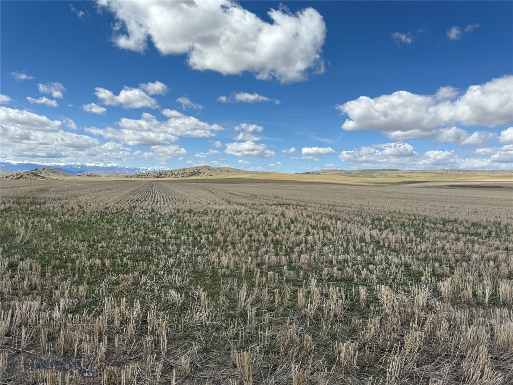 Tract 1A Norris Road, Manhattan MT 59741