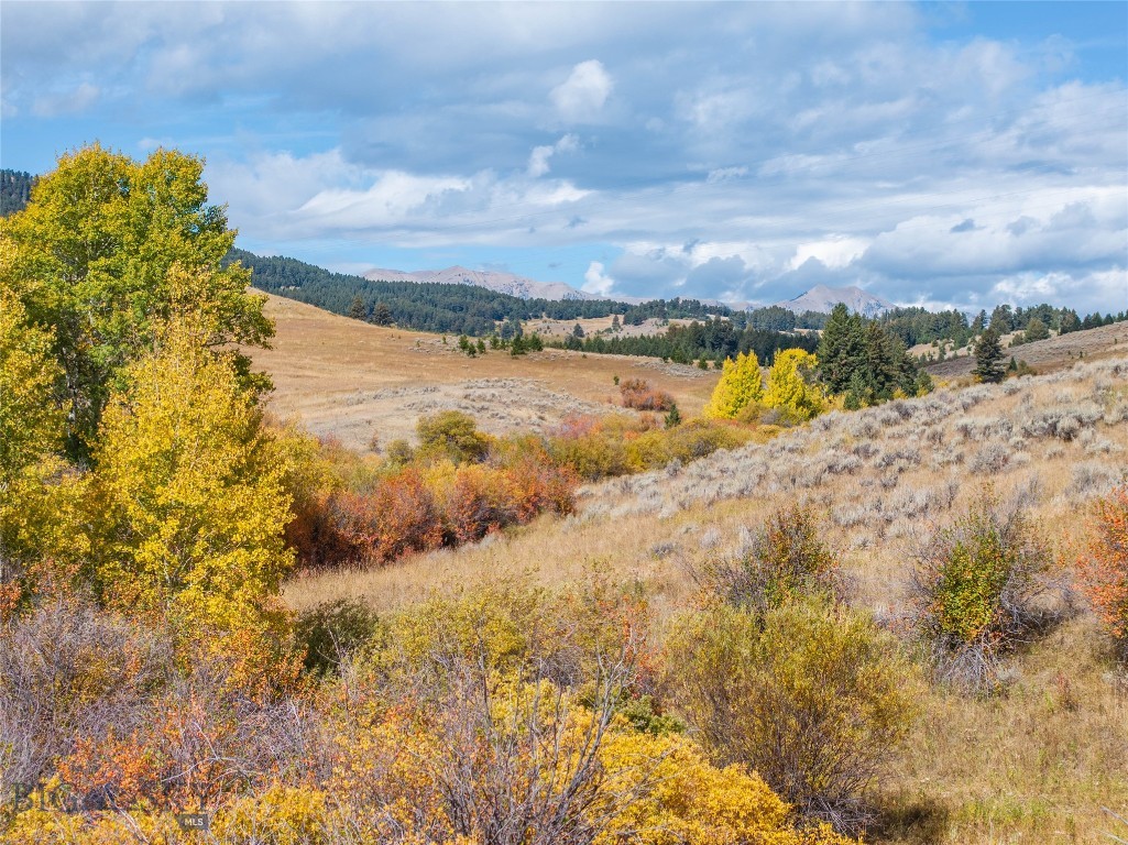 NHN Stublar Road, Bozeman MT 59715