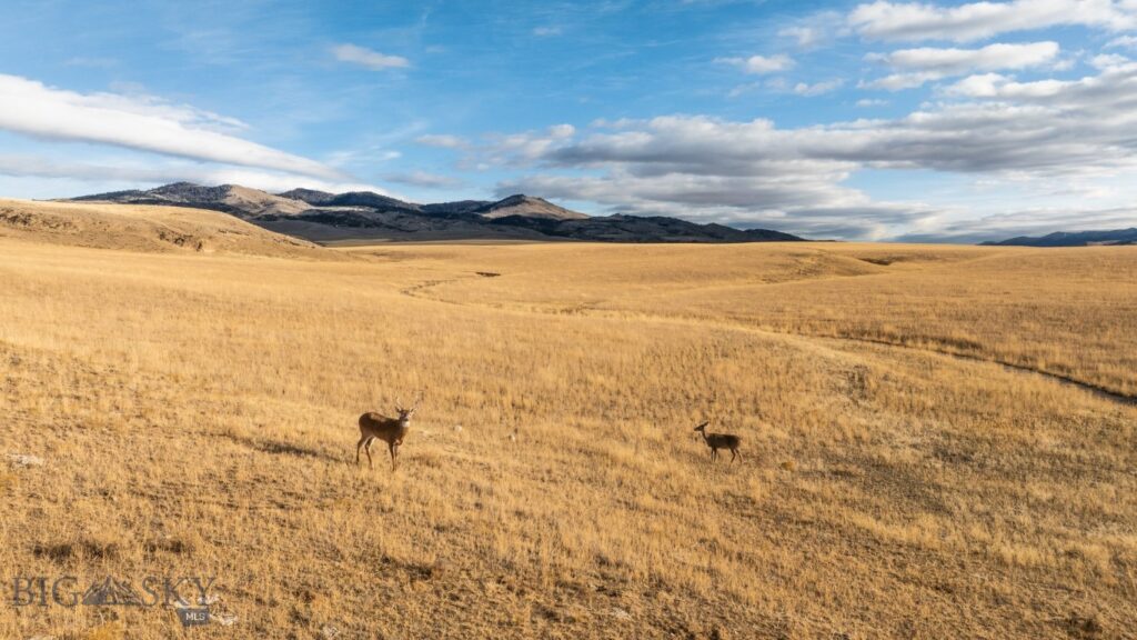 TBD Buster Brown Road, Dillon MT 59725