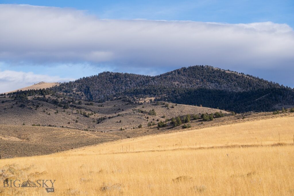 TBD Buster Brown Road, Dillon MT 59725