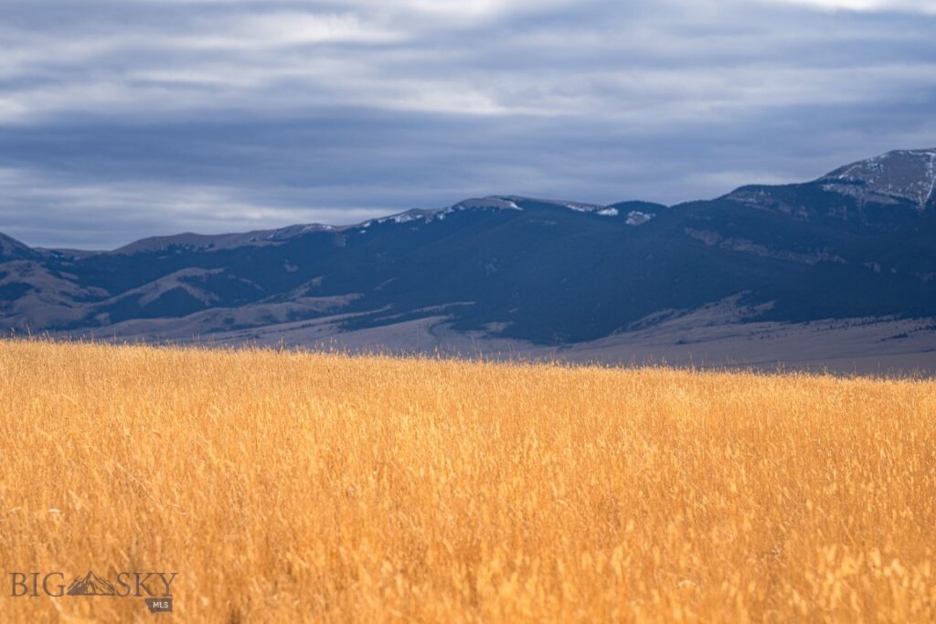 TBD Buster Brown Road, Dillon MT 59725