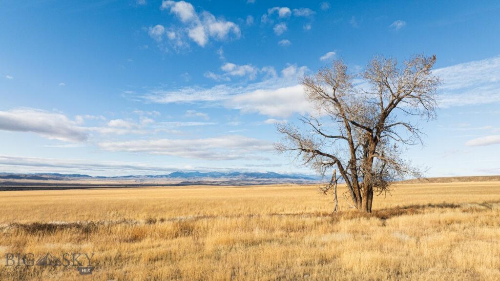 TBD Buster Brown Road, Dillon MT 59725