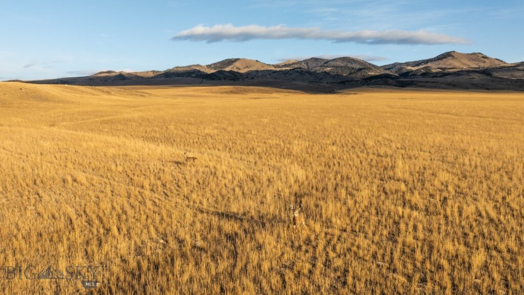 TBD Buster Brown Road, Dillon MT 59725