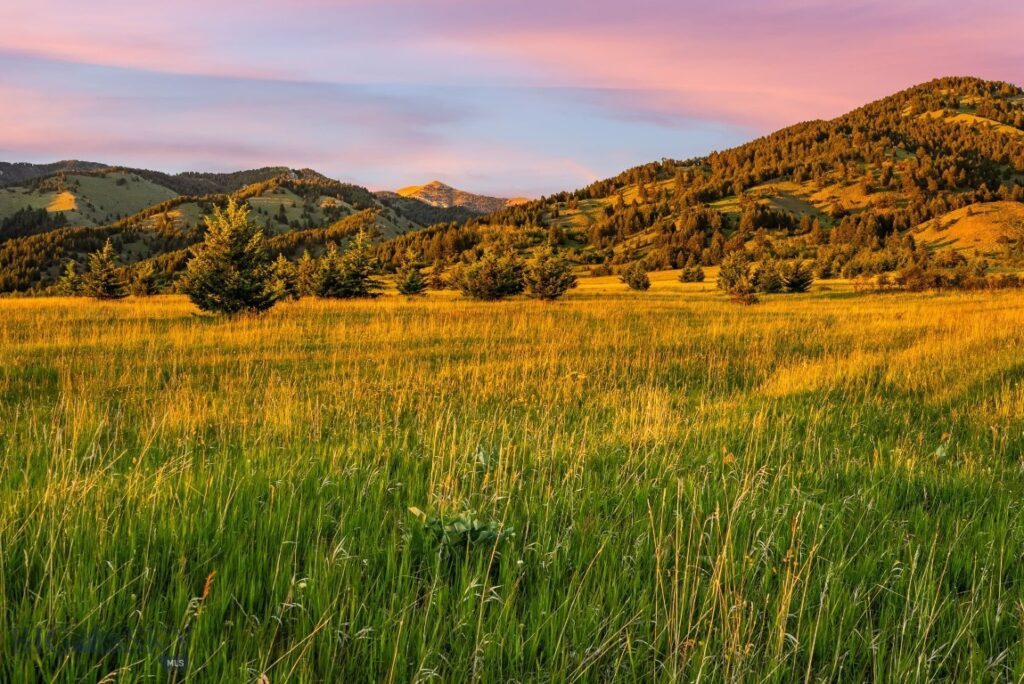 TBD Sypes Canyon Spur Road, Bozeman MT 59715