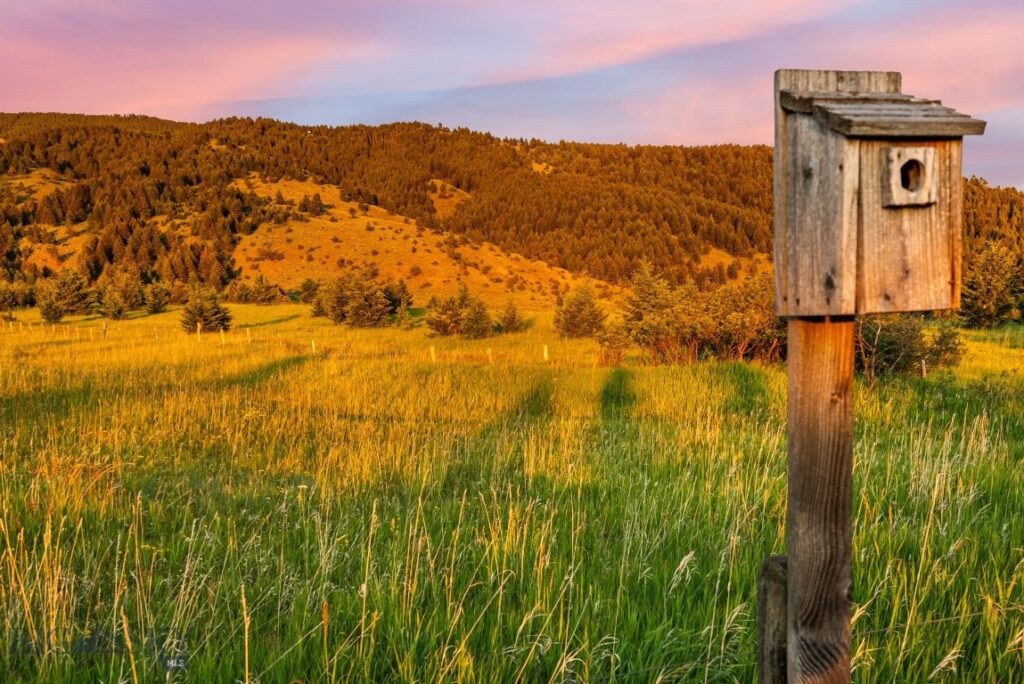 TBD Sypes Canyon Spur Road, Bozeman MT 59715