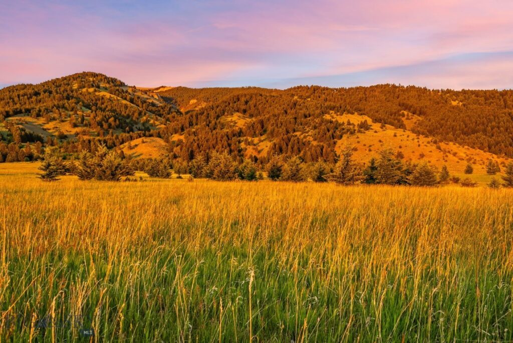 TBD Sypes Canyon Spur Road, Bozeman MT 59715