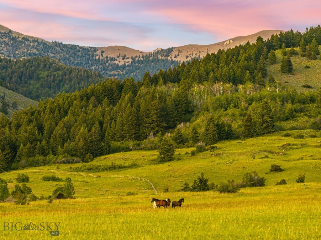 TBD Sypes Canyon Spur Road, Bozeman MT 59715