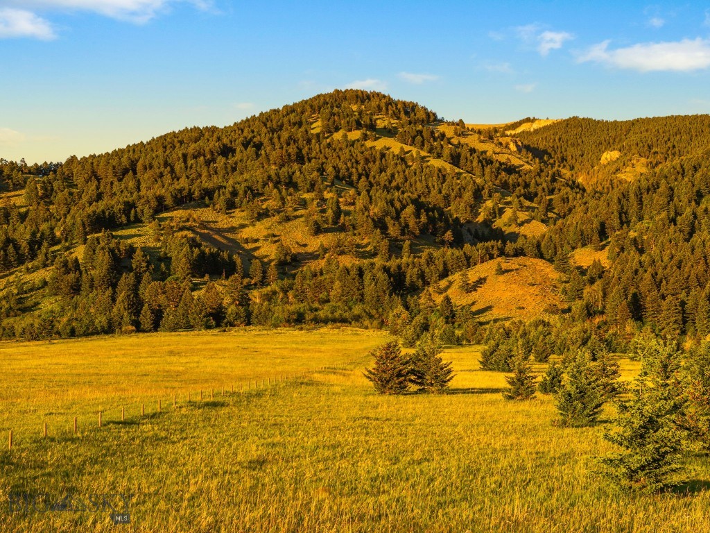 TBD Sypes Canyon Spur Road, Bozeman MT 59715