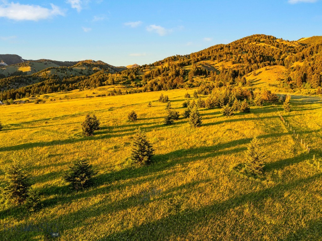 TBD Sypes Canyon Spur Road, Bozeman MT 59715
