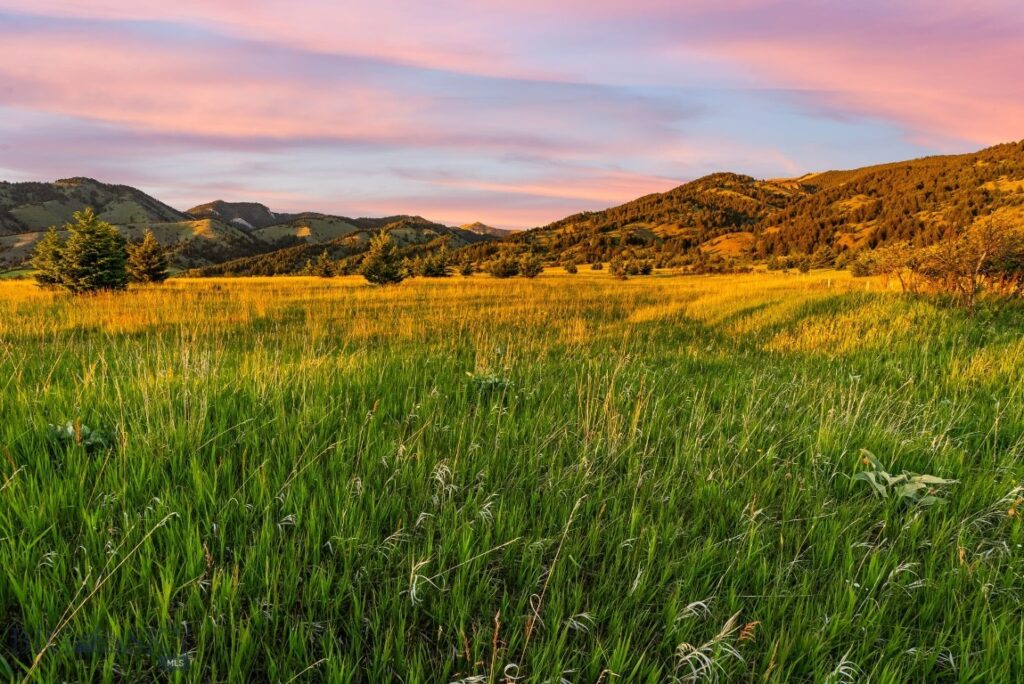 TBD Sypes Canyon Spur Road, Bozeman MT 59715